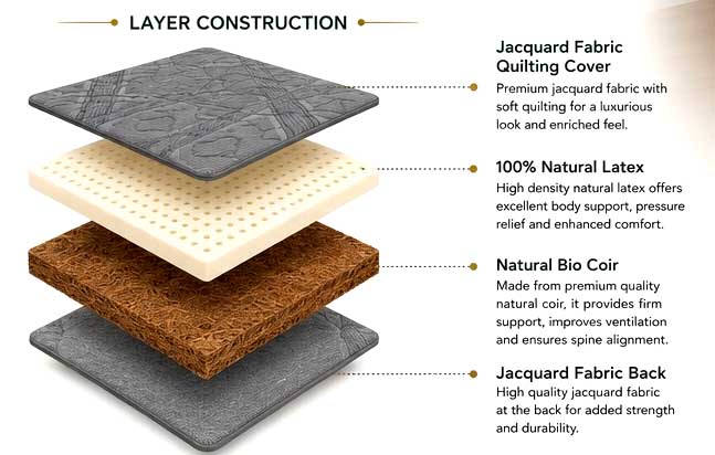 Latex Coir Max